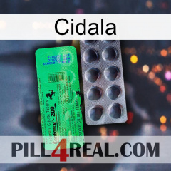 Cidala new04